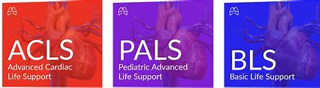AHA BLS COMPLETE COURSE & ACLS COMPLETE COURSE & PALS SKILLS SESSION $425