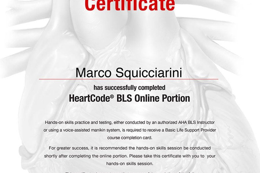 BLS HEARTCODE COURSE $22 (NOT THE BLS COURSE ONLY CERTIFICATE- PART ONE)